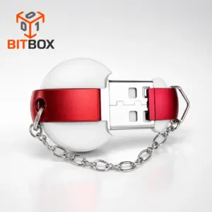 BitBox J2534 Flasher – Software & Module für ECU Chiptuning